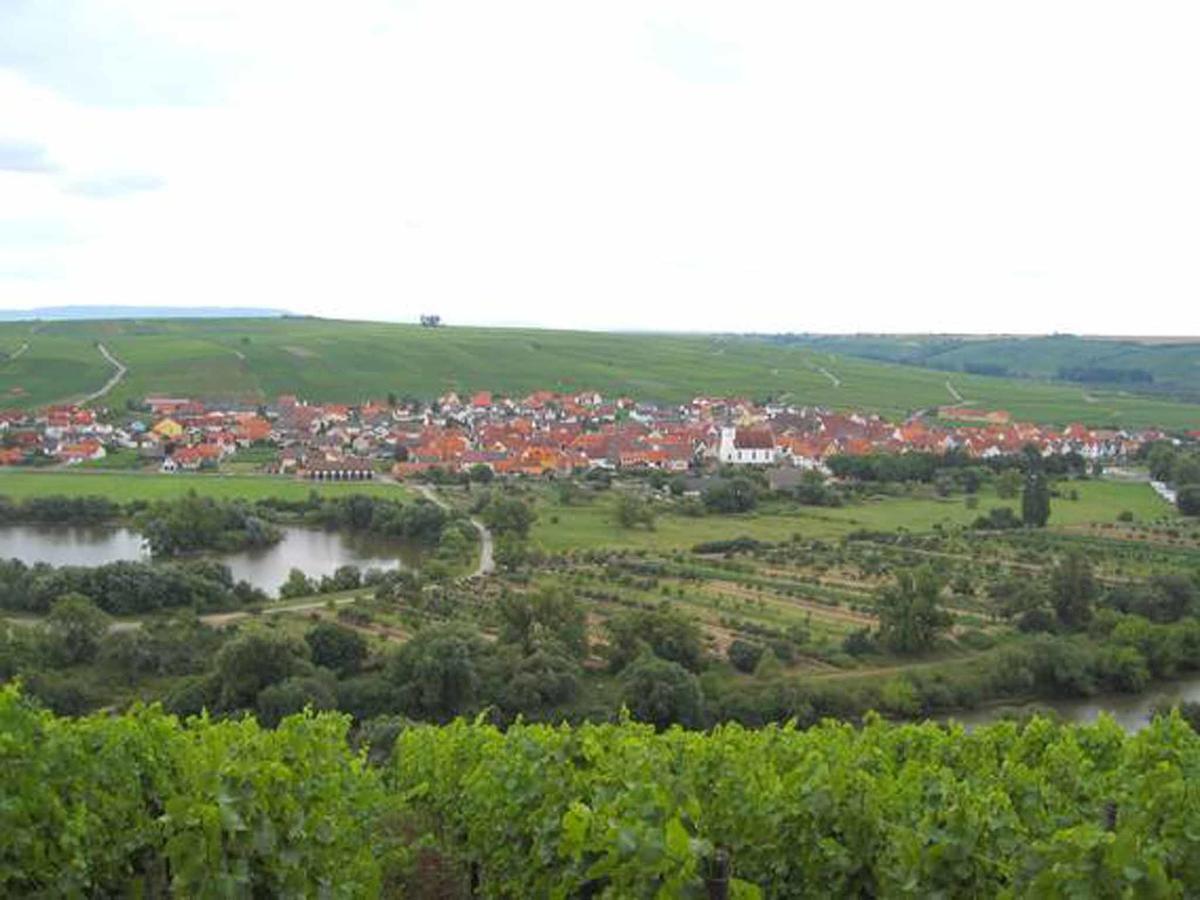 Апартаменты Ferien- Und Winzerhof Ute Braun Нордхайм Экстерьер фото