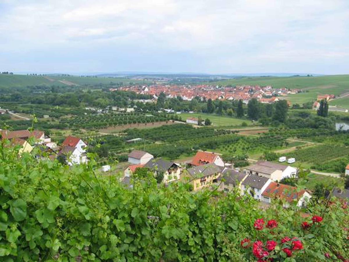Апартаменты Ferien- Und Winzerhof Ute Braun Нордхайм Экстерьер фото